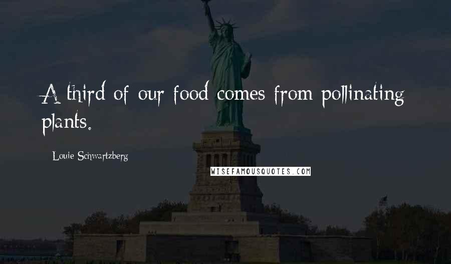 Louie Schwartzberg Quotes: A third of our food comes from pollinating plants.