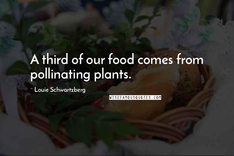 Louie Schwartzberg Quotes: A third of our food comes from pollinating plants.