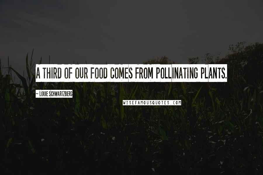 Louie Schwartzberg Quotes: A third of our food comes from pollinating plants.