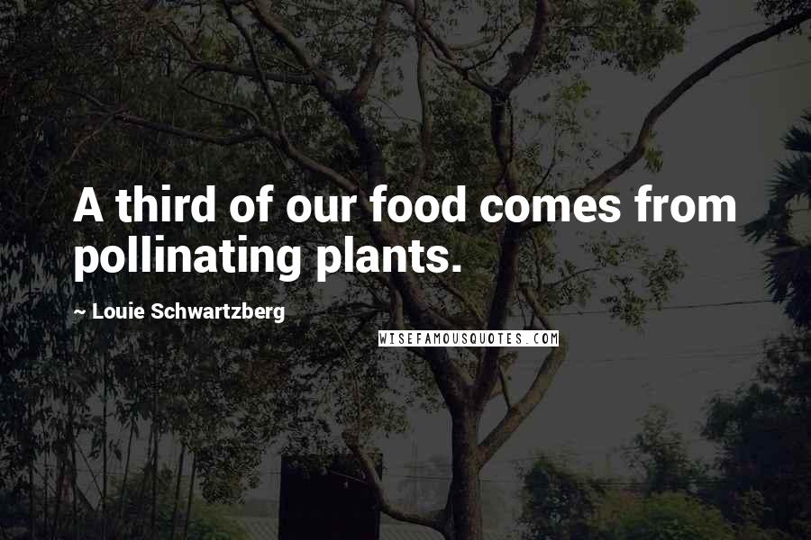 Louie Schwartzberg Quotes: A third of our food comes from pollinating plants.