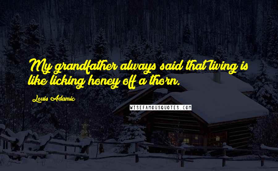 Louis Adamic Quotes: My grandfather always said that living is like licking honey off a thorn.