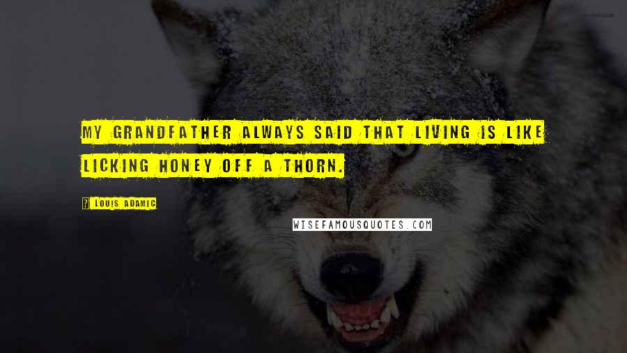 Louis Adamic Quotes: My grandfather always said that living is like licking honey off a thorn.