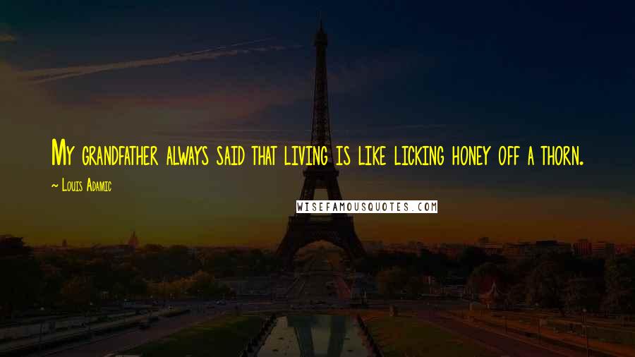Louis Adamic Quotes: My grandfather always said that living is like licking honey off a thorn.