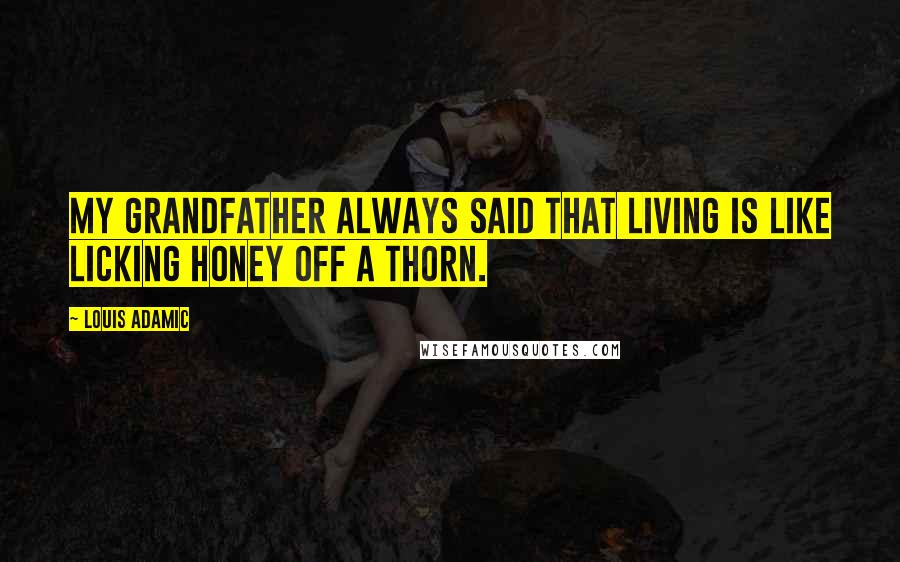 Louis Adamic Quotes: My grandfather always said that living is like licking honey off a thorn.