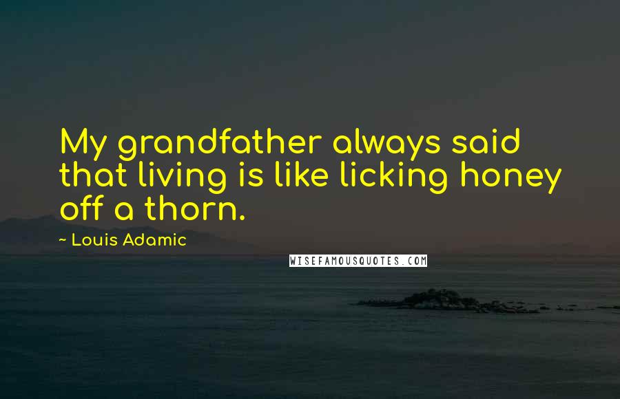 Louis Adamic Quotes: My grandfather always said that living is like licking honey off a thorn.