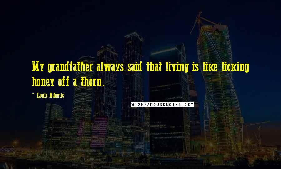 Louis Adamic Quotes: My grandfather always said that living is like licking honey off a thorn.