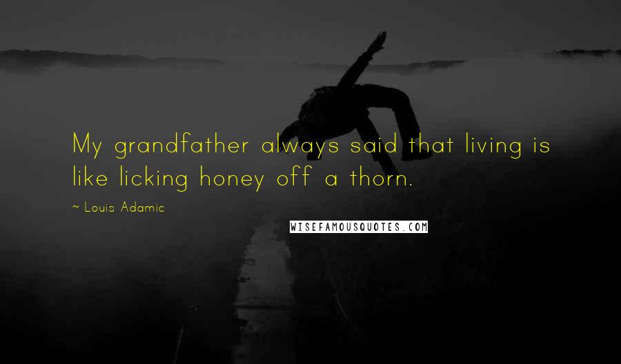 Louis Adamic Quotes: My grandfather always said that living is like licking honey off a thorn.