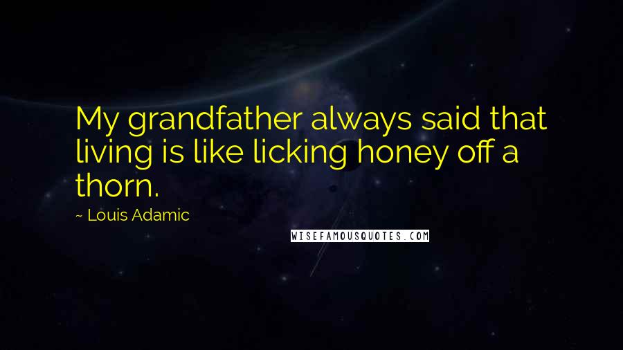 Louis Adamic Quotes: My grandfather always said that living is like licking honey off a thorn.