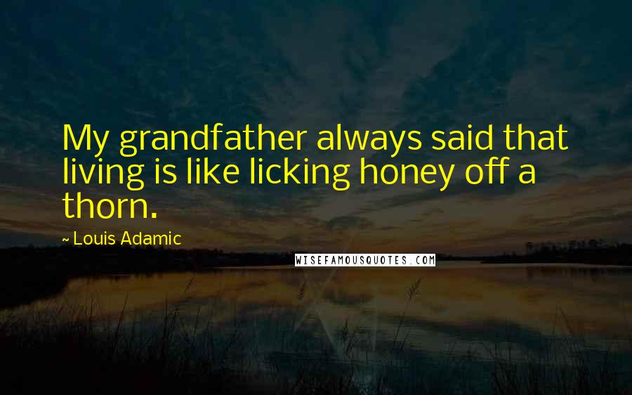 Louis Adamic Quotes: My grandfather always said that living is like licking honey off a thorn.