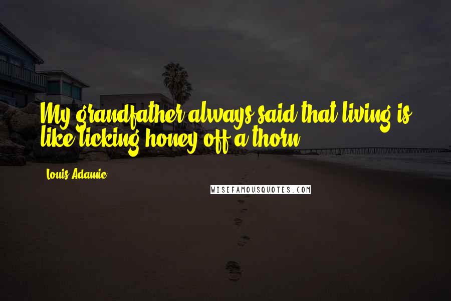 Louis Adamic Quotes: My grandfather always said that living is like licking honey off a thorn.
