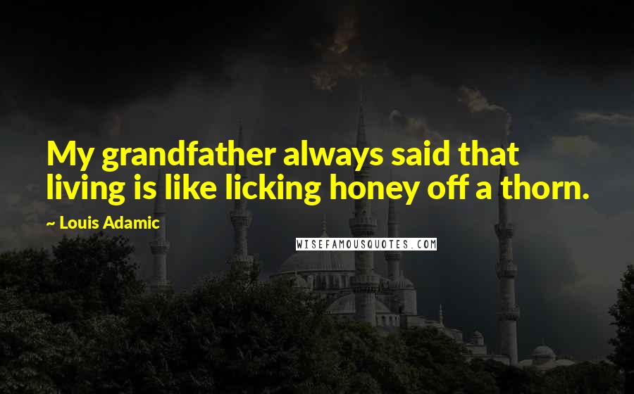 Louis Adamic Quotes: My grandfather always said that living is like licking honey off a thorn.