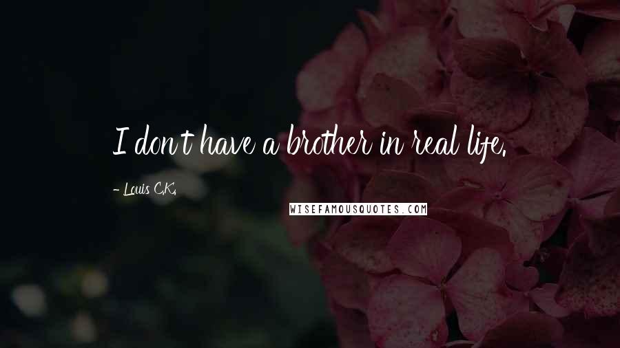 Louis C.K. Quotes: I don't have a brother in real life.