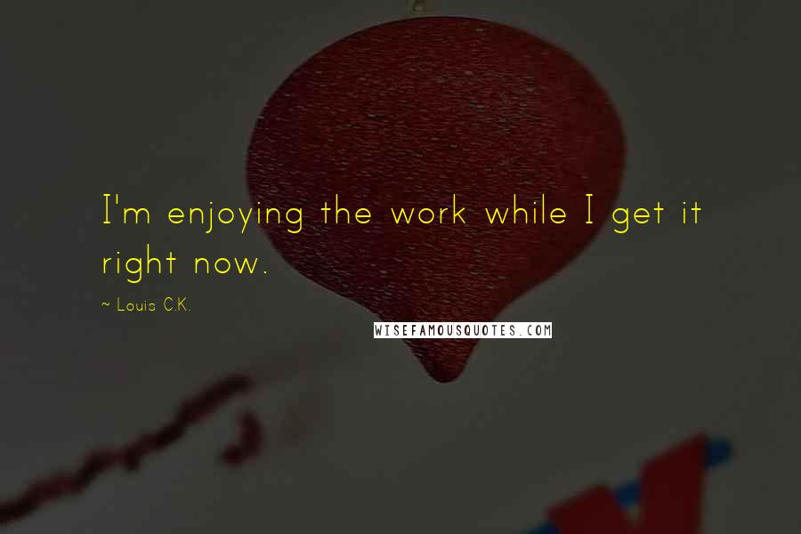 Louis C.K. Quotes: I'm enjoying the work while I get it right now.