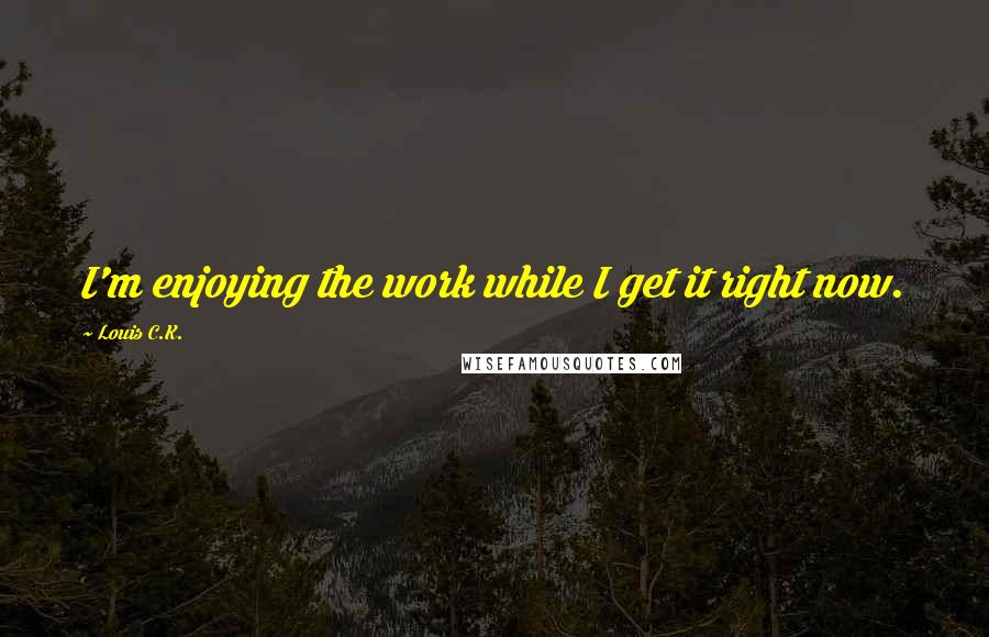 Louis C.K. Quotes: I'm enjoying the work while I get it right now.