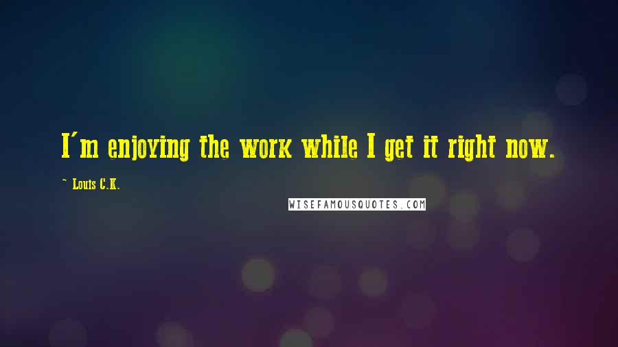 Louis C.K. Quotes: I'm enjoying the work while I get it right now.