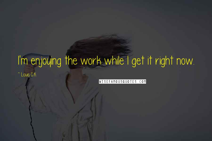 Louis C.K. Quotes: I'm enjoying the work while I get it right now.