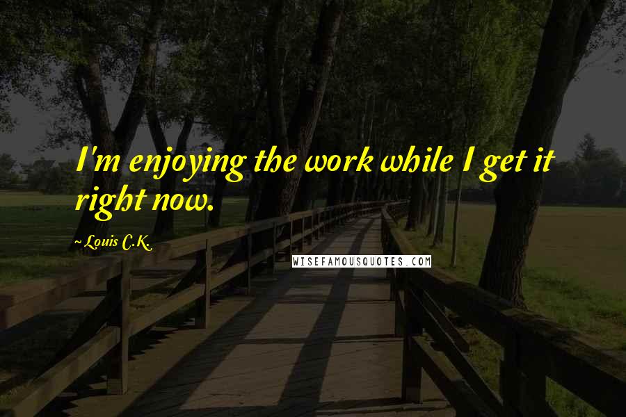 Louis C.K. Quotes: I'm enjoying the work while I get it right now.