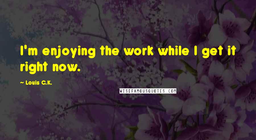Louis C.K. Quotes: I'm enjoying the work while I get it right now.