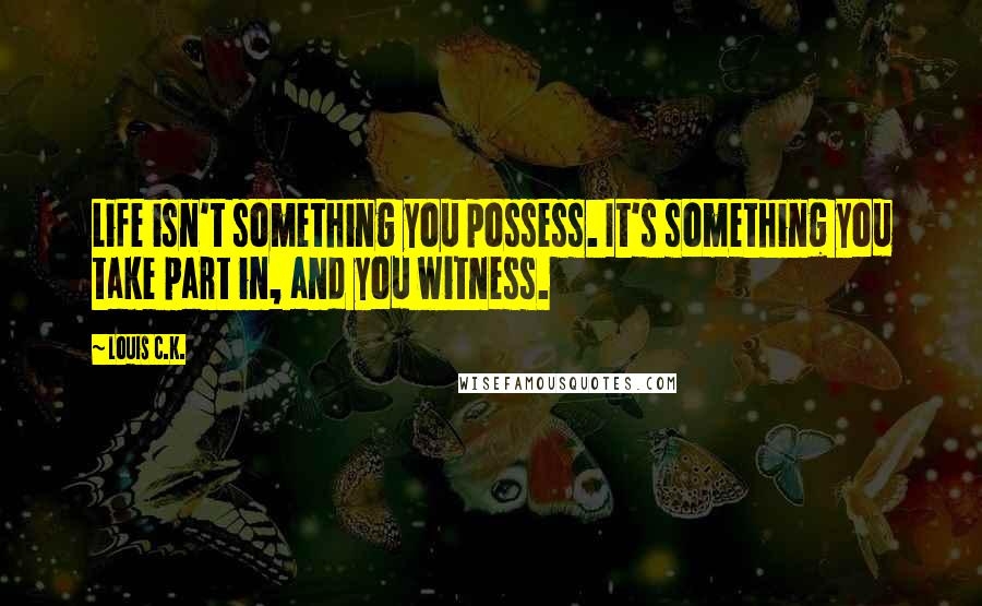 Louis C.K. Quotes: Life isn't something you possess. It's something you take part in, and you witness.