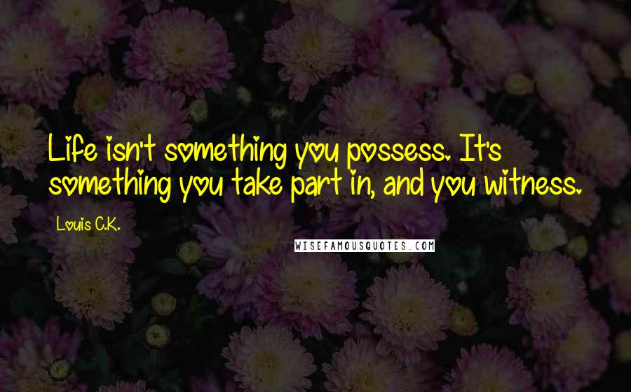 Louis C.K. Quotes: Life isn't something you possess. It's something you take part in, and you witness.