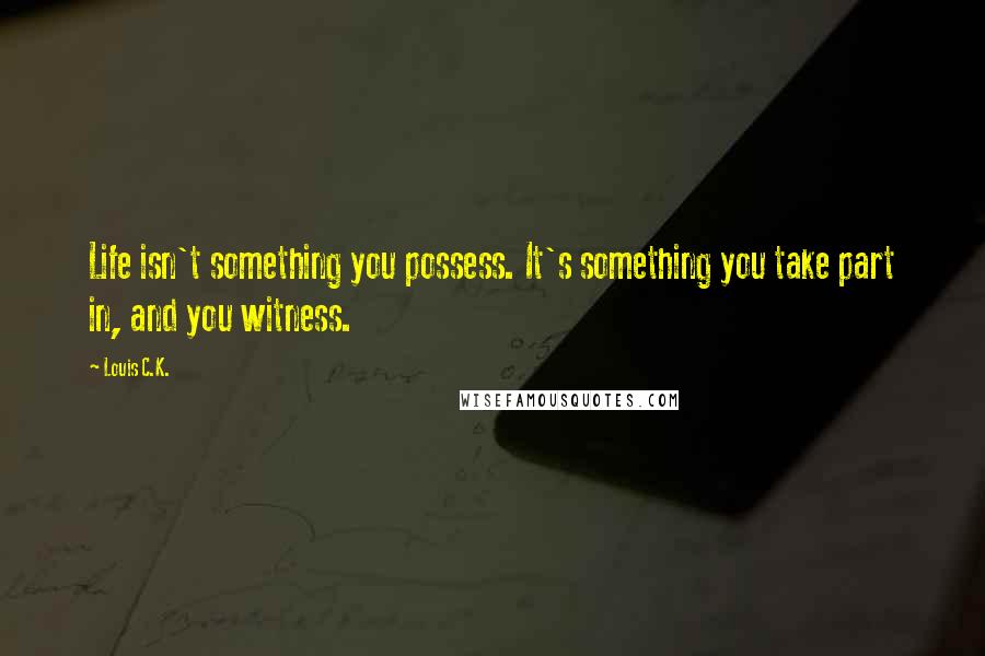 Louis C.K. Quotes: Life isn't something you possess. It's something you take part in, and you witness.