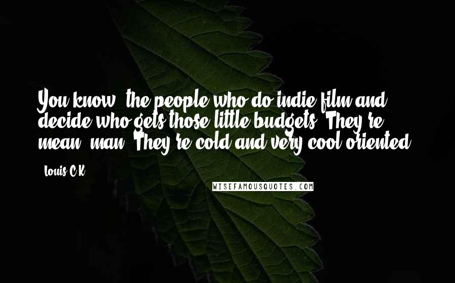 Louis C.K. Quotes: You know, the people who do indie film and decide who gets those little budgets? They're mean, man. They're cold and very cool-oriented.