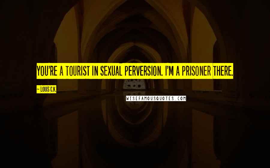 Louis C.K. Quotes: You're a tourist in sexual perversion. I'm a prisoner there.