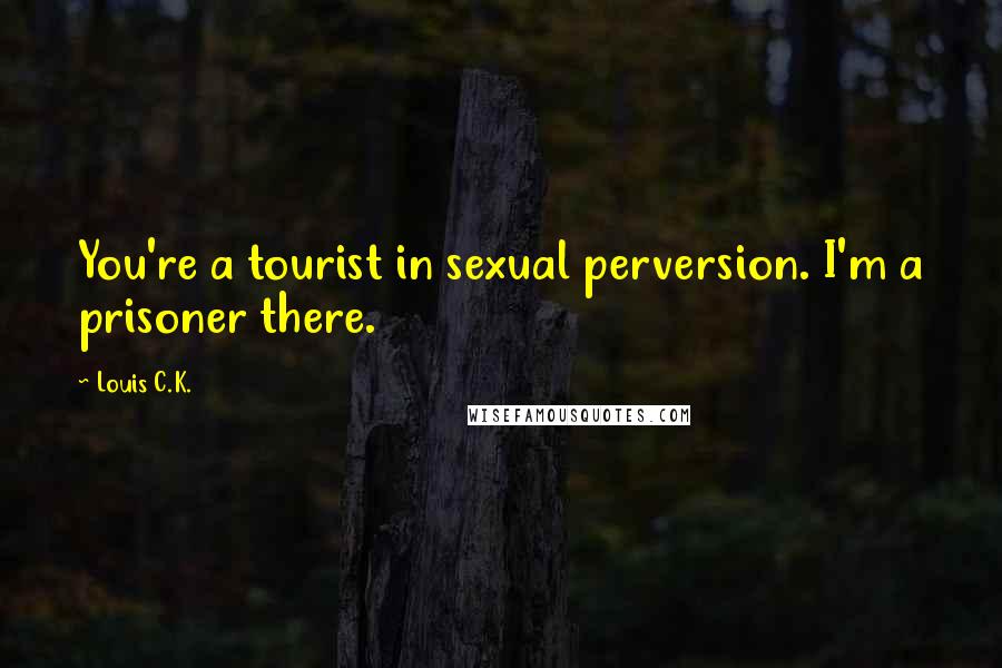 Louis C.K. Quotes: You're a tourist in sexual perversion. I'm a prisoner there.