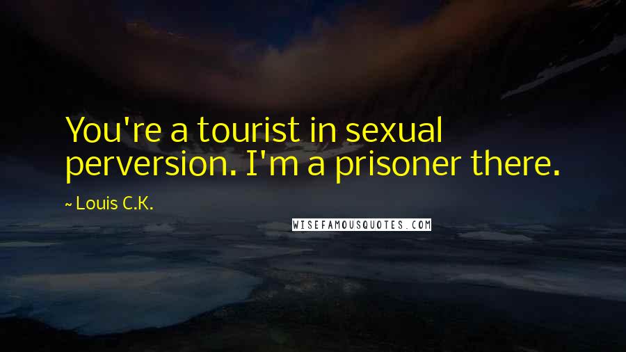 Louis C.K. Quotes: You're a tourist in sexual perversion. I'm a prisoner there.