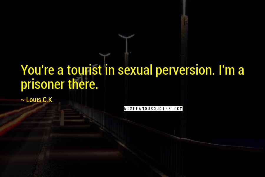 Louis C.K. Quotes: You're a tourist in sexual perversion. I'm a prisoner there.