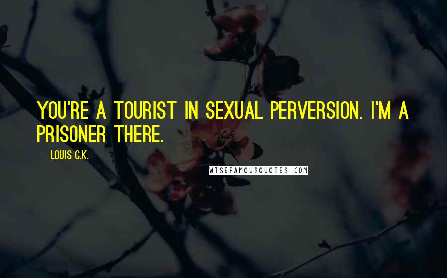 Louis C.K. Quotes: You're a tourist in sexual perversion. I'm a prisoner there.