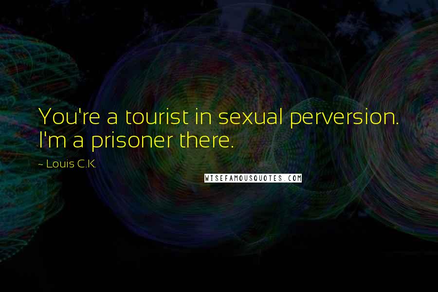 Louis C.K. Quotes: You're a tourist in sexual perversion. I'm a prisoner there.