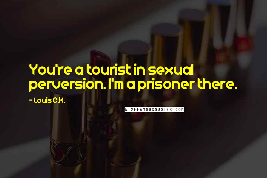 Louis C.K. Quotes: You're a tourist in sexual perversion. I'm a prisoner there.
