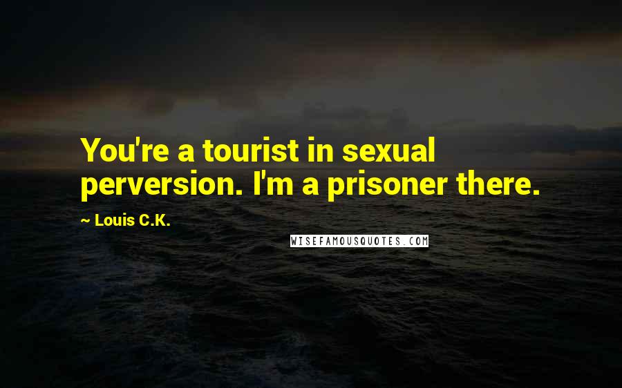 Louis C.K. Quotes: You're a tourist in sexual perversion. I'm a prisoner there.