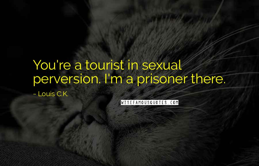 Louis C.K. Quotes: You're a tourist in sexual perversion. I'm a prisoner there.