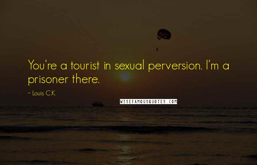 Louis C.K. Quotes: You're a tourist in sexual perversion. I'm a prisoner there.