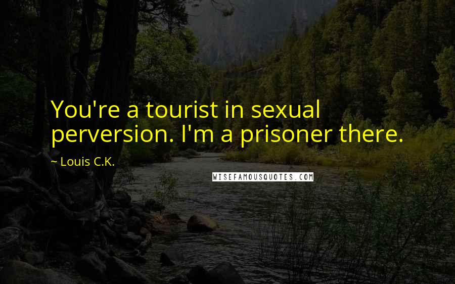 Louis C.K. Quotes: You're a tourist in sexual perversion. I'm a prisoner there.