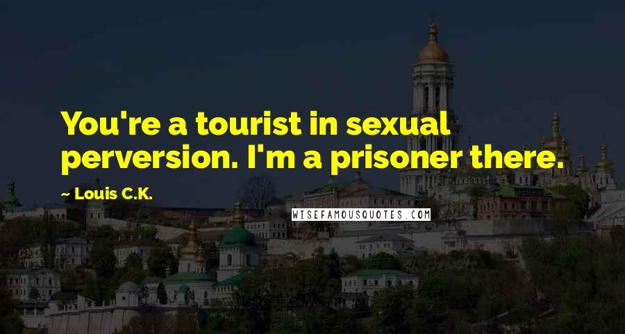 Louis C.K. Quotes: You're a tourist in sexual perversion. I'm a prisoner there.