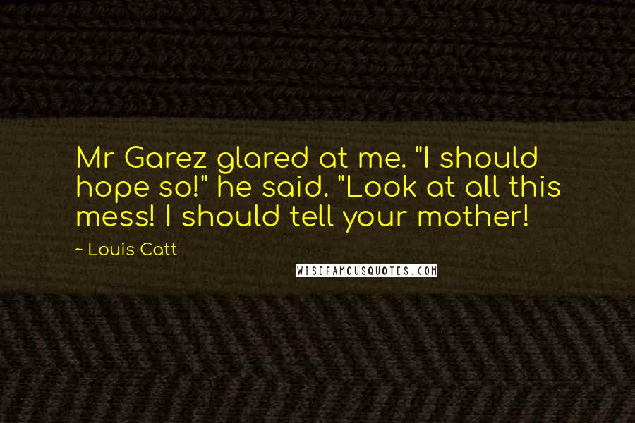 Louis Catt Quotes: Mr Garez glared at me. "I should hope so!" he said. "Look at all this mess! I should tell your mother!