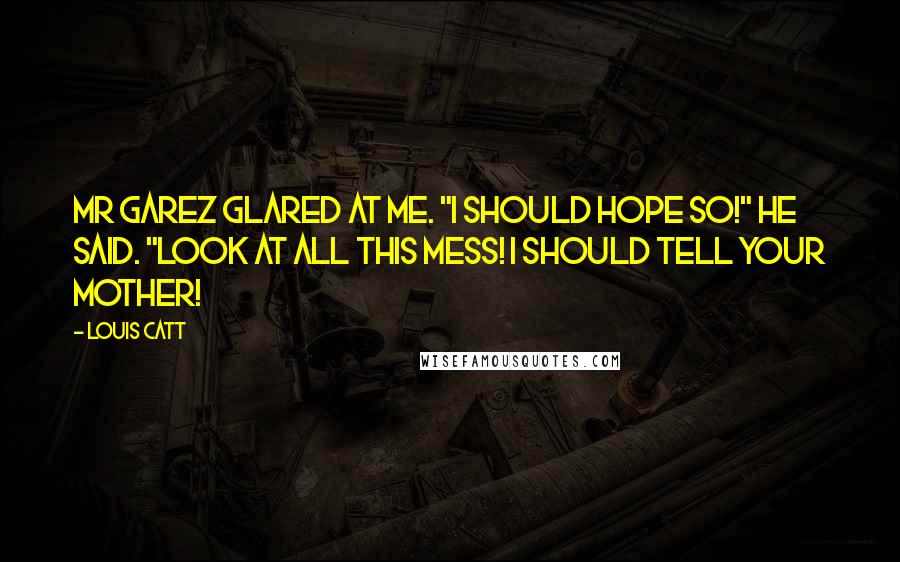 Louis Catt Quotes: Mr Garez glared at me. "I should hope so!" he said. "Look at all this mess! I should tell your mother!