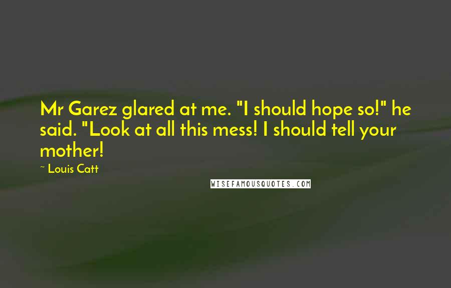 Louis Catt Quotes: Mr Garez glared at me. "I should hope so!" he said. "Look at all this mess! I should tell your mother!