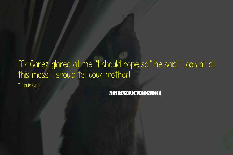 Louis Catt Quotes: Mr Garez glared at me. "I should hope so!" he said. "Look at all this mess! I should tell your mother!