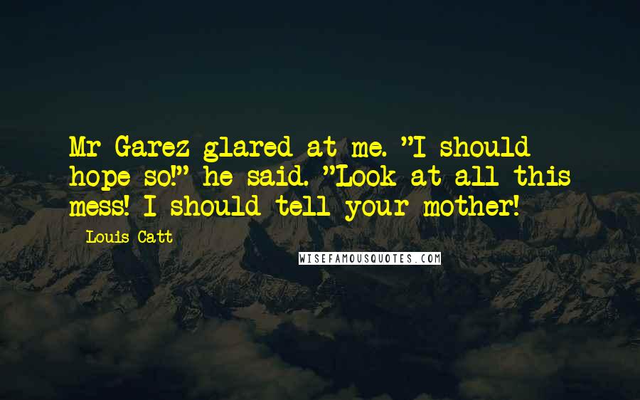 Louis Catt Quotes: Mr Garez glared at me. "I should hope so!" he said. "Look at all this mess! I should tell your mother!