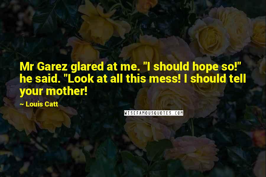Louis Catt Quotes: Mr Garez glared at me. "I should hope so!" he said. "Look at all this mess! I should tell your mother!
