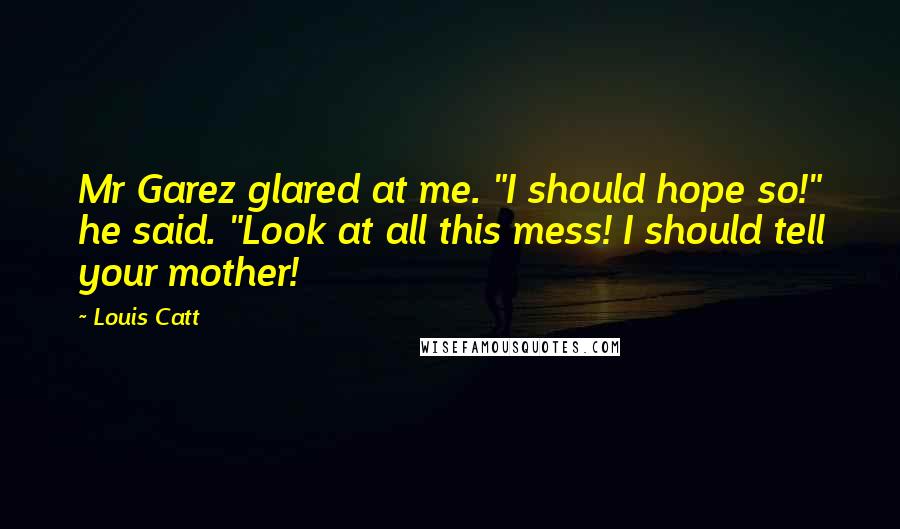 Louis Catt Quotes: Mr Garez glared at me. "I should hope so!" he said. "Look at all this mess! I should tell your mother!