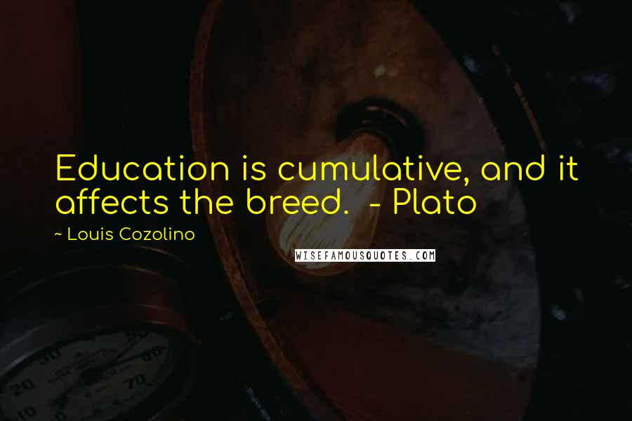 Louis Cozolino Quotes: Education is cumulative, and it affects the breed.  - Plato