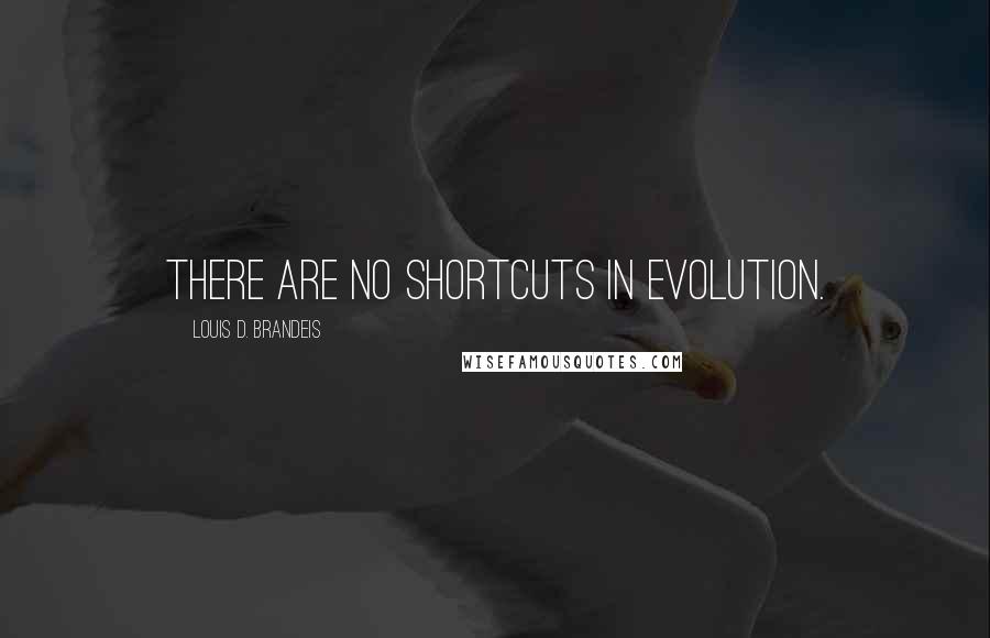 Louis D. Brandeis Quotes: There are no shortcuts in evolution.