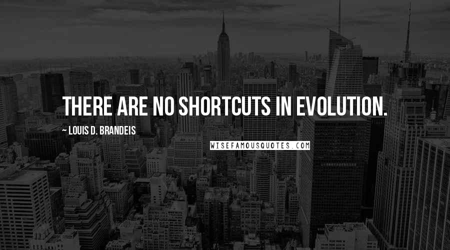 Louis D. Brandeis Quotes: There are no shortcuts in evolution.