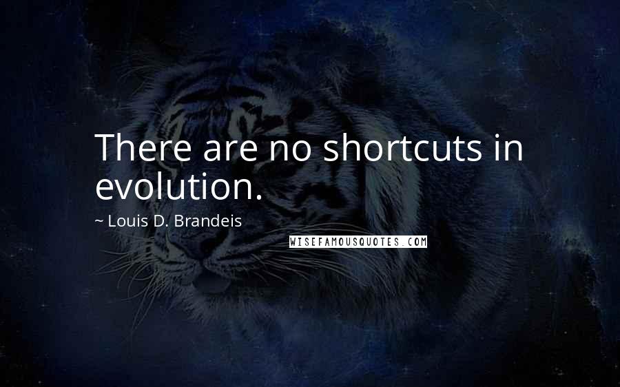 Louis D. Brandeis Quotes: There are no shortcuts in evolution.