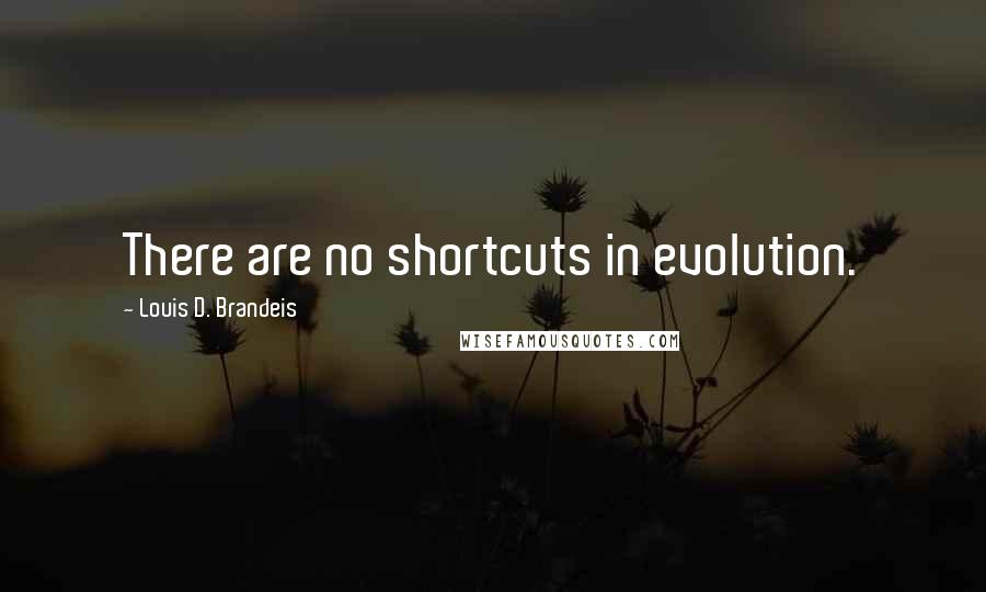 Louis D. Brandeis Quotes: There are no shortcuts in evolution.